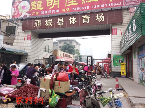 蒲城縣體育場(chǎng)