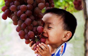 37yzfec9.png 圖片8.png