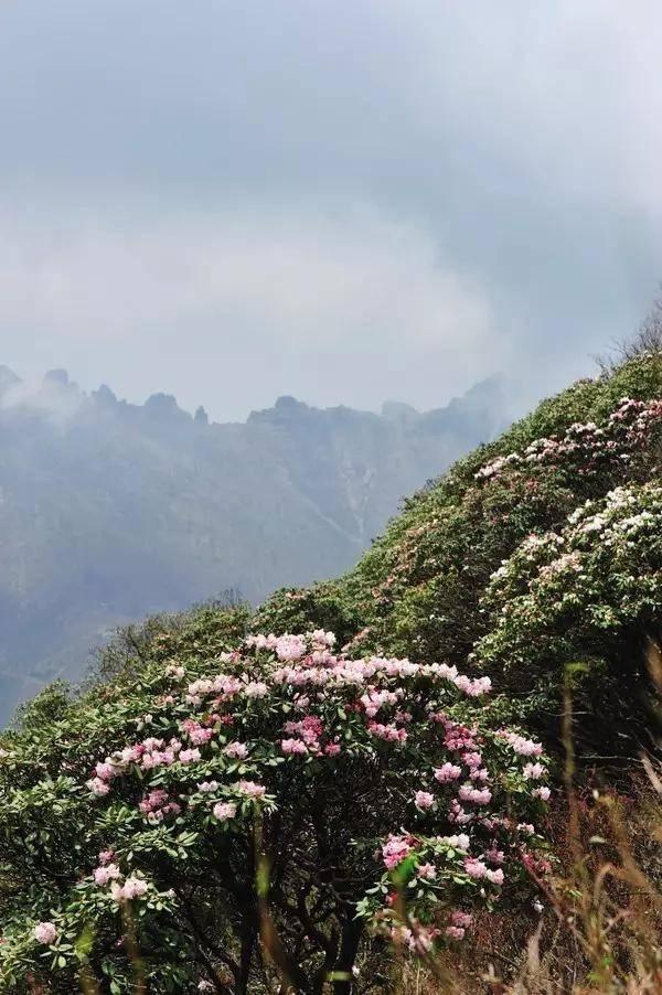 秦嶺腳下的這8個小鎮 歸隱山水的好去處!