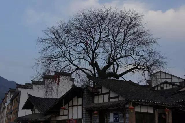 秦嶺腳下的這8個小鎮 歸隱山水的好去處!