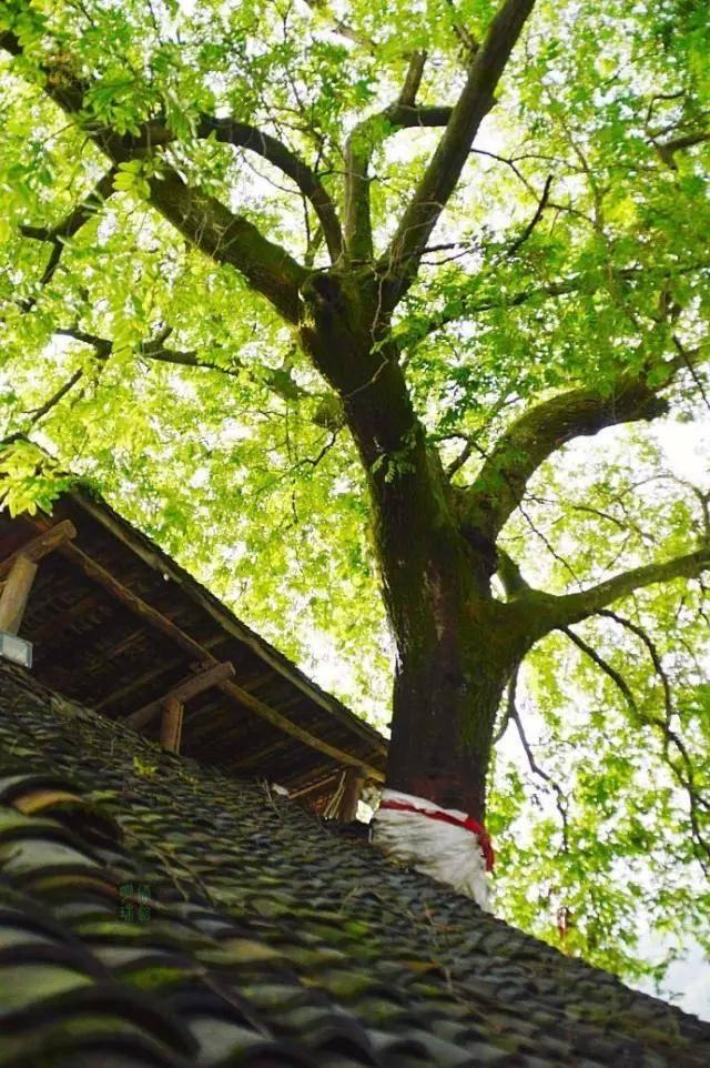 秦嶺腳下的這8個小鎮 歸隱山水的好去處!