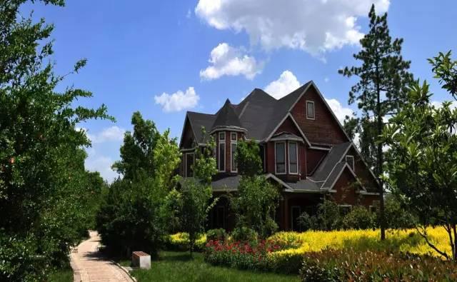 追趕第一 爭創第一 國際港務區將有哪些大動作