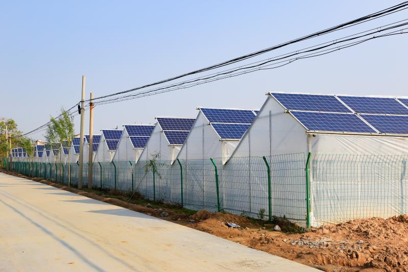 《脫貧攻堅渭南在行動》合陽篇“三變改革”新機制引領脫貧致富路