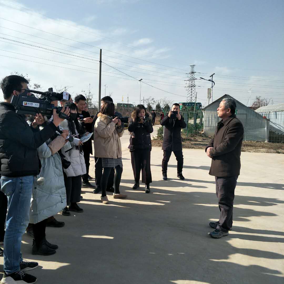 《脫貧攻堅渭南在行動》合陽篇“三變改革”新機制引領脫貧致富路