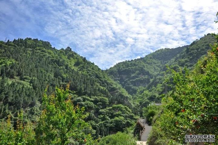 e185pq5e.jpg 微信圖片_20171214091448.jpg