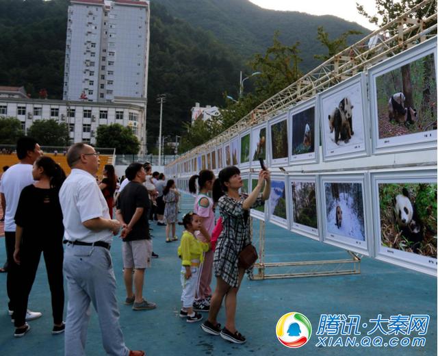 第九屆秦嶺大熊貓旅游節(jié)暨音樂(lè)節(jié)開(kāi)幕